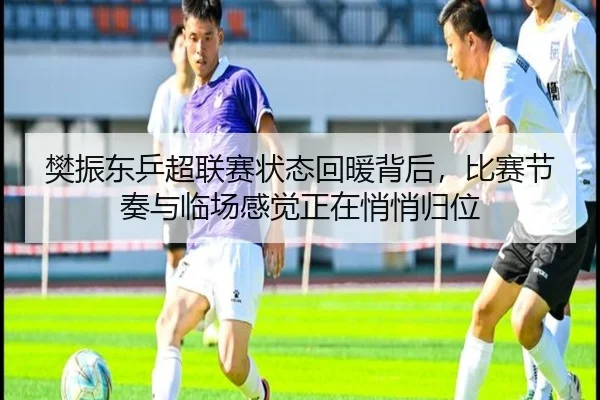 樊振东乒超联赛状态回暖背后，比赛节奏与临场感觉正在悄悄归位